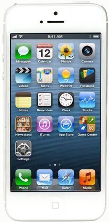 Смартфон Apple iPhone 5 64Gb White & Silver - Бердск