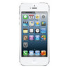 Apple iPhone 5 16Gb white - Бердск
