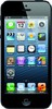Apple iPhone 5 64GB - Бердск